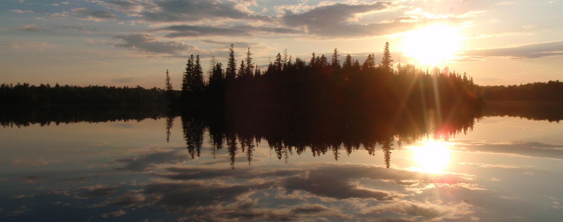 lake shore and forest